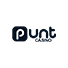 Punt casino icon