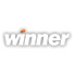 Winner casino icon